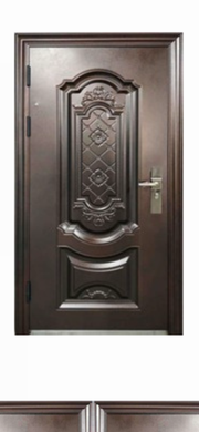 Door Security Steel 38x82