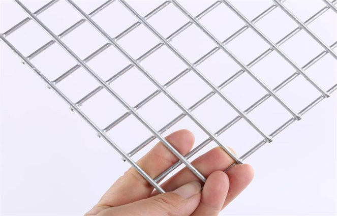 Welded Mesh Zinc 2x2