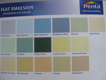 Penta Flat Emulsion Gallon (Assorted Colours)