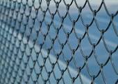 Chainlink wire 6' x 12.5 gauge (2.5 mm)x 50'