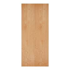 Door Plain Flush 28x80