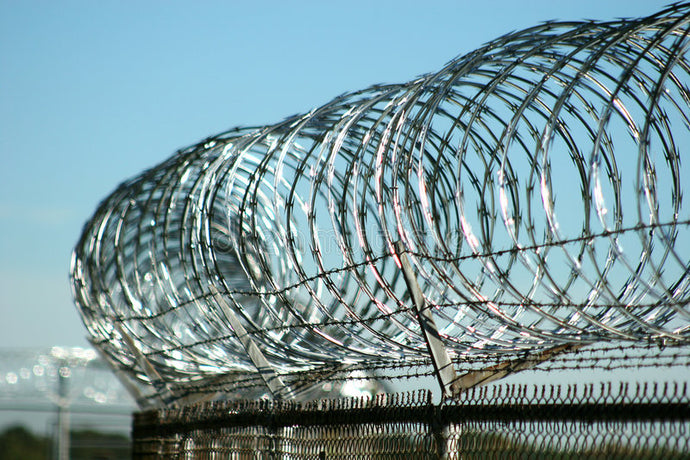 Razor Wire Galvanised 18' x18